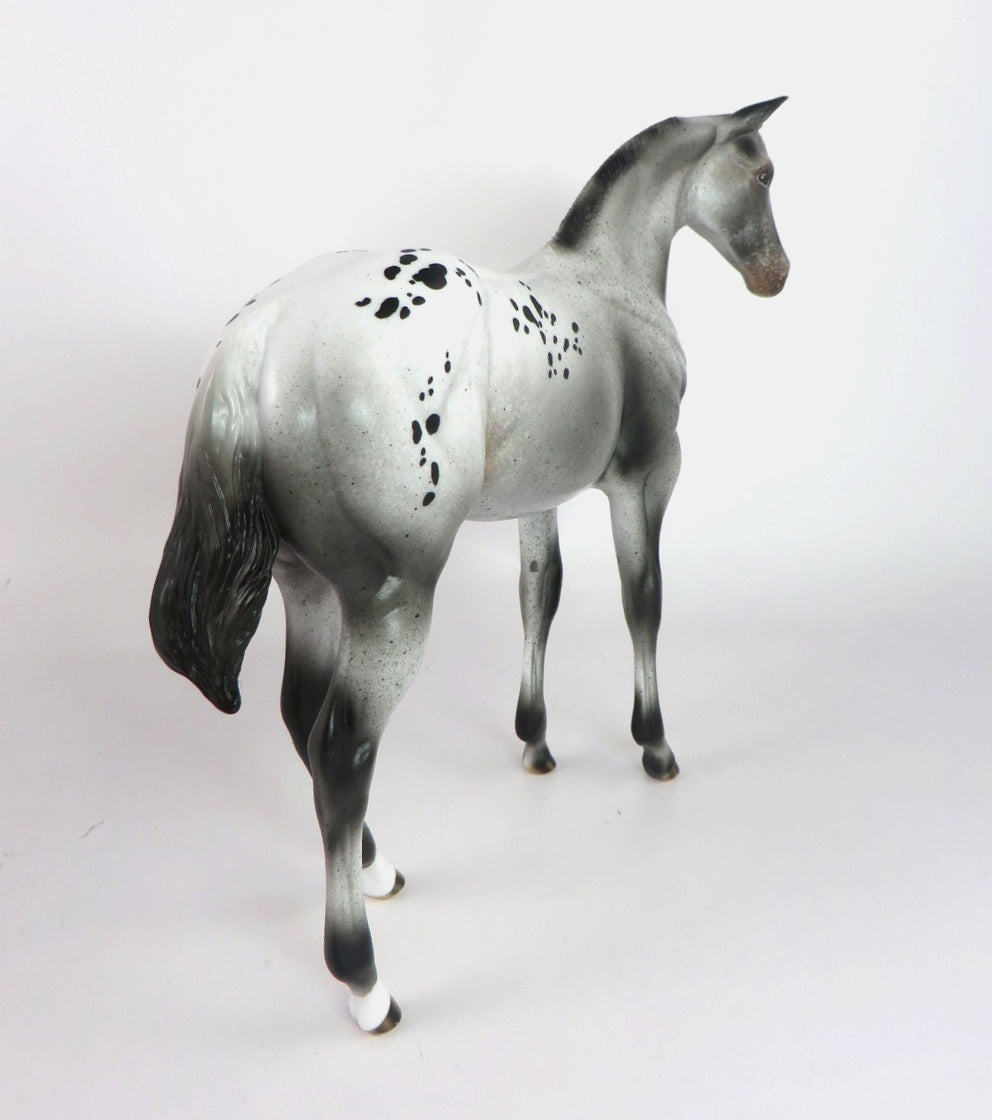 JOY -OOAK GREY APPY WEANLING MODEL HORSE BY AUDREY DIXON WHS19