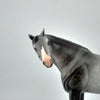Jubilee-OOAK Dapple Grey Arabian Pebbles