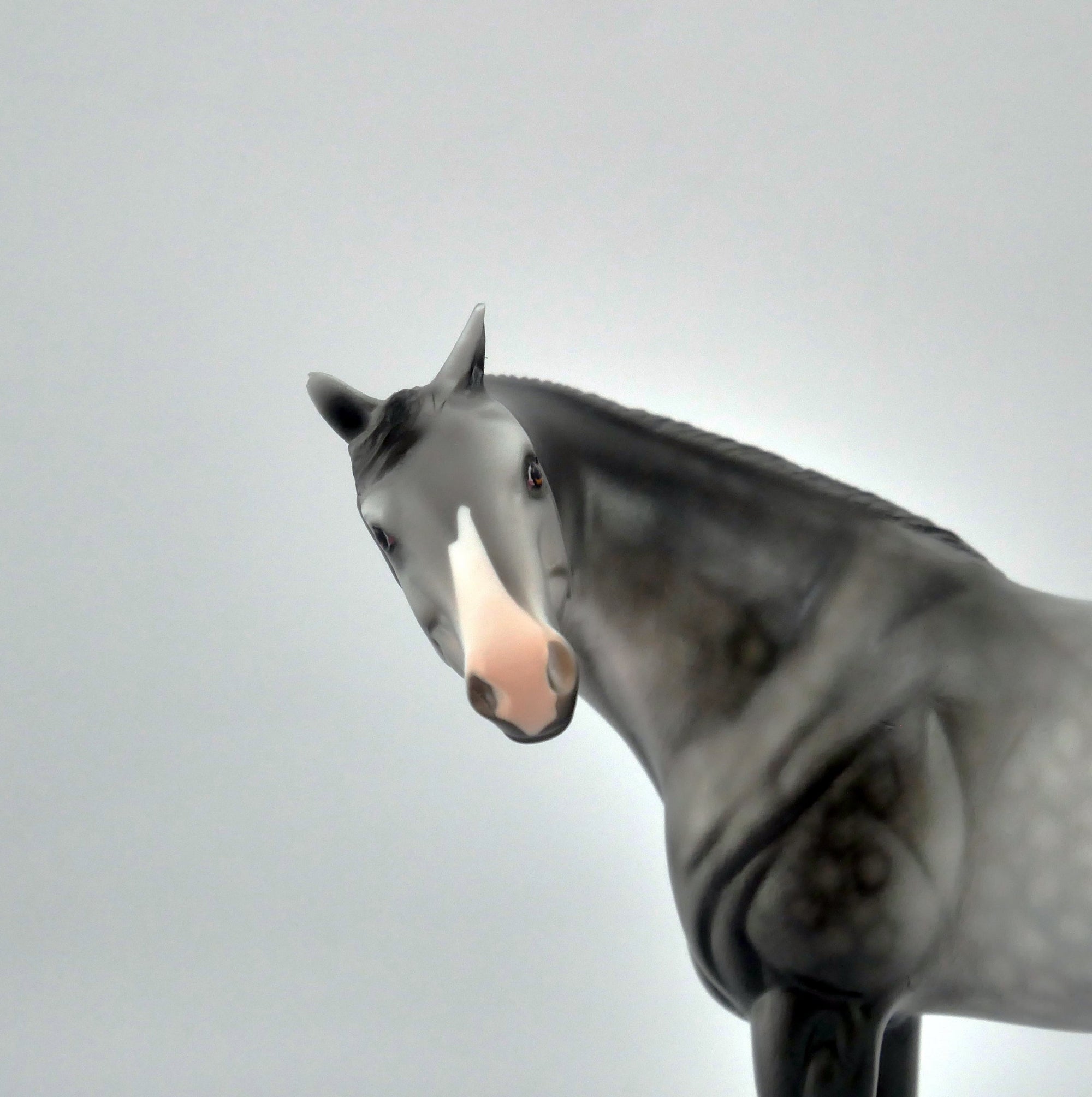 Jubilee-OOAK Dapple Grey Arabian Pebbles