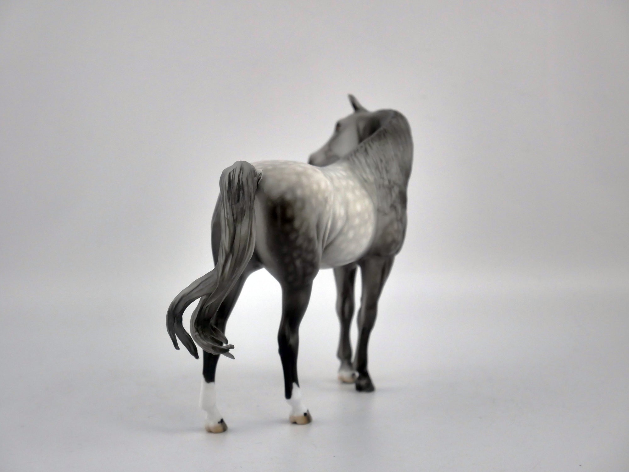 Jubilee-OOAK Dapple Grey Arabian Pebbles