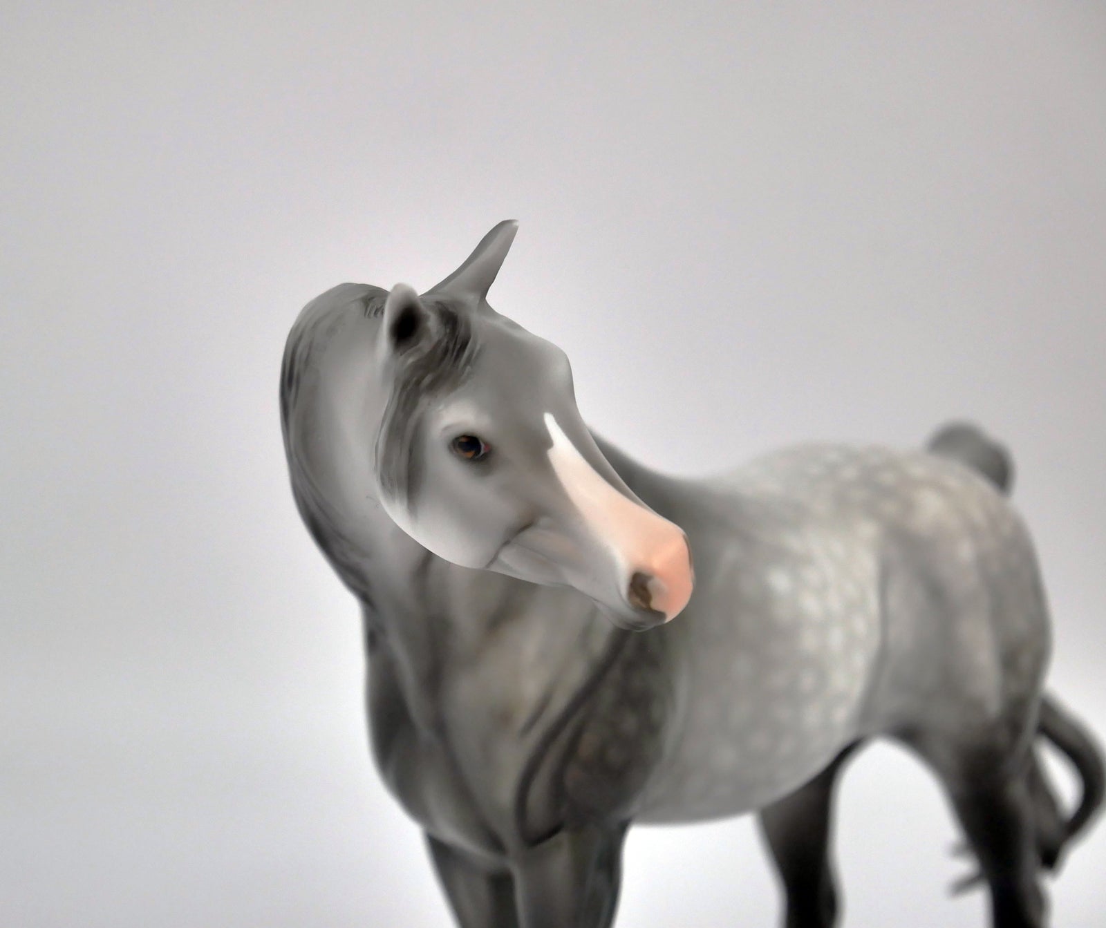 Jubilee-OOAK Dapple Grey Arabian Pebbles