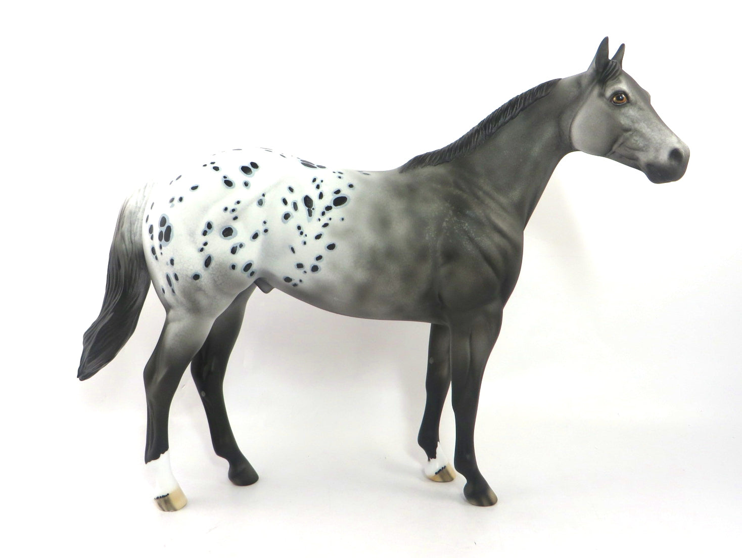 JUST N TIME-OOAK BLACK APPALOOSA  ISH MODEL HORSE 1/7/20