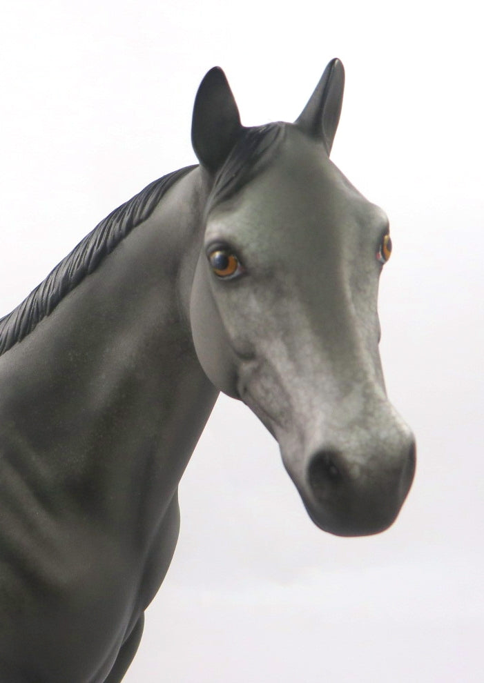 JUST N TIME-OOAK BLACK APPALOOSA  ISH MODEL HORSE 1/7/20
