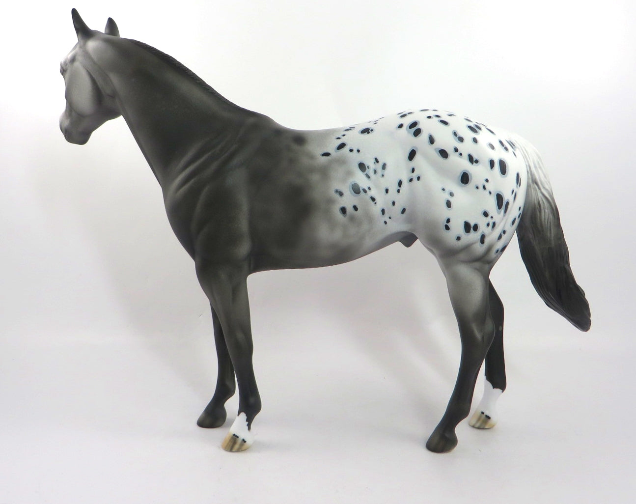 JUST N TIME-OOAK BLACK APPALOOSA  ISH MODEL HORSE 1/7/20