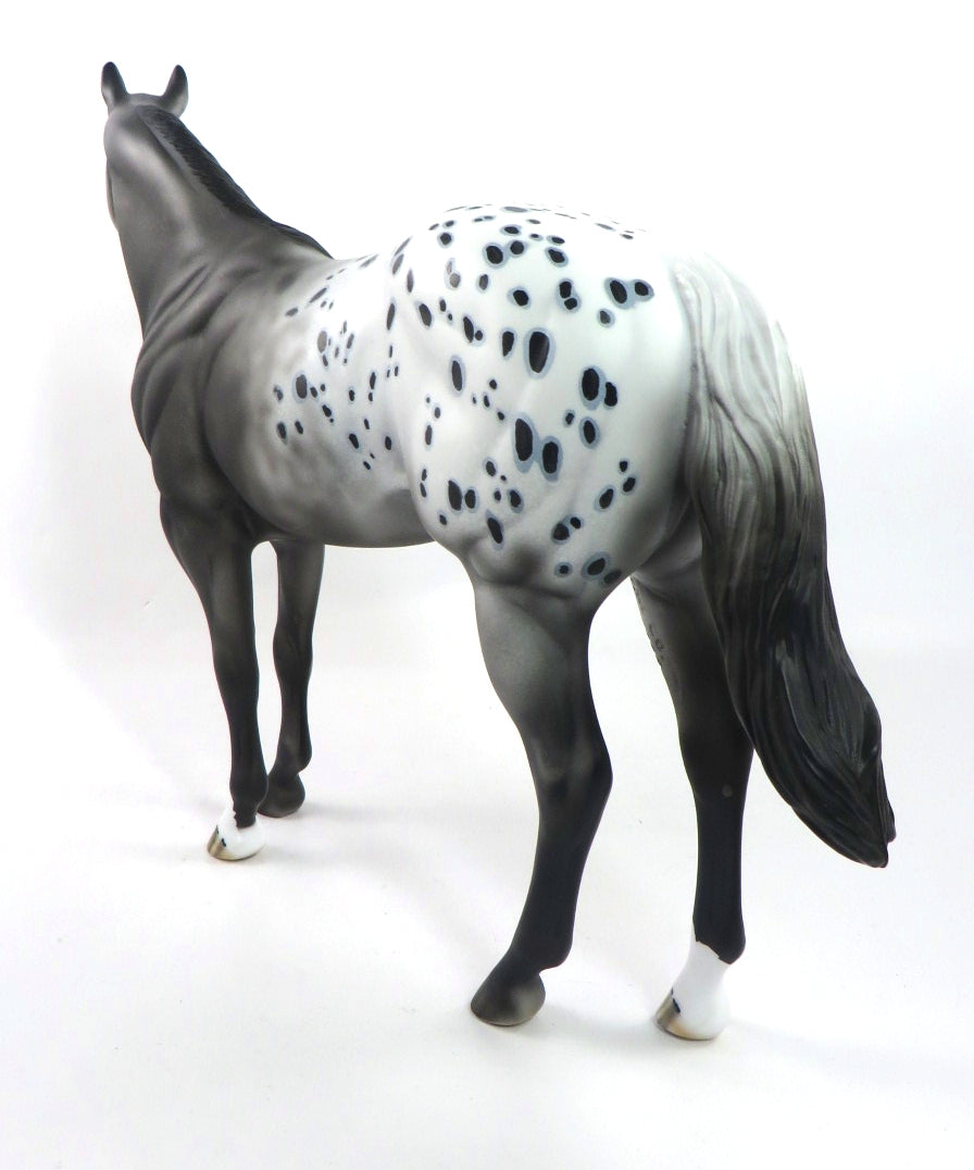 JUST N TIME-OOAK BLACK APPALOOSA  ISH MODEL HORSE 1/7/20