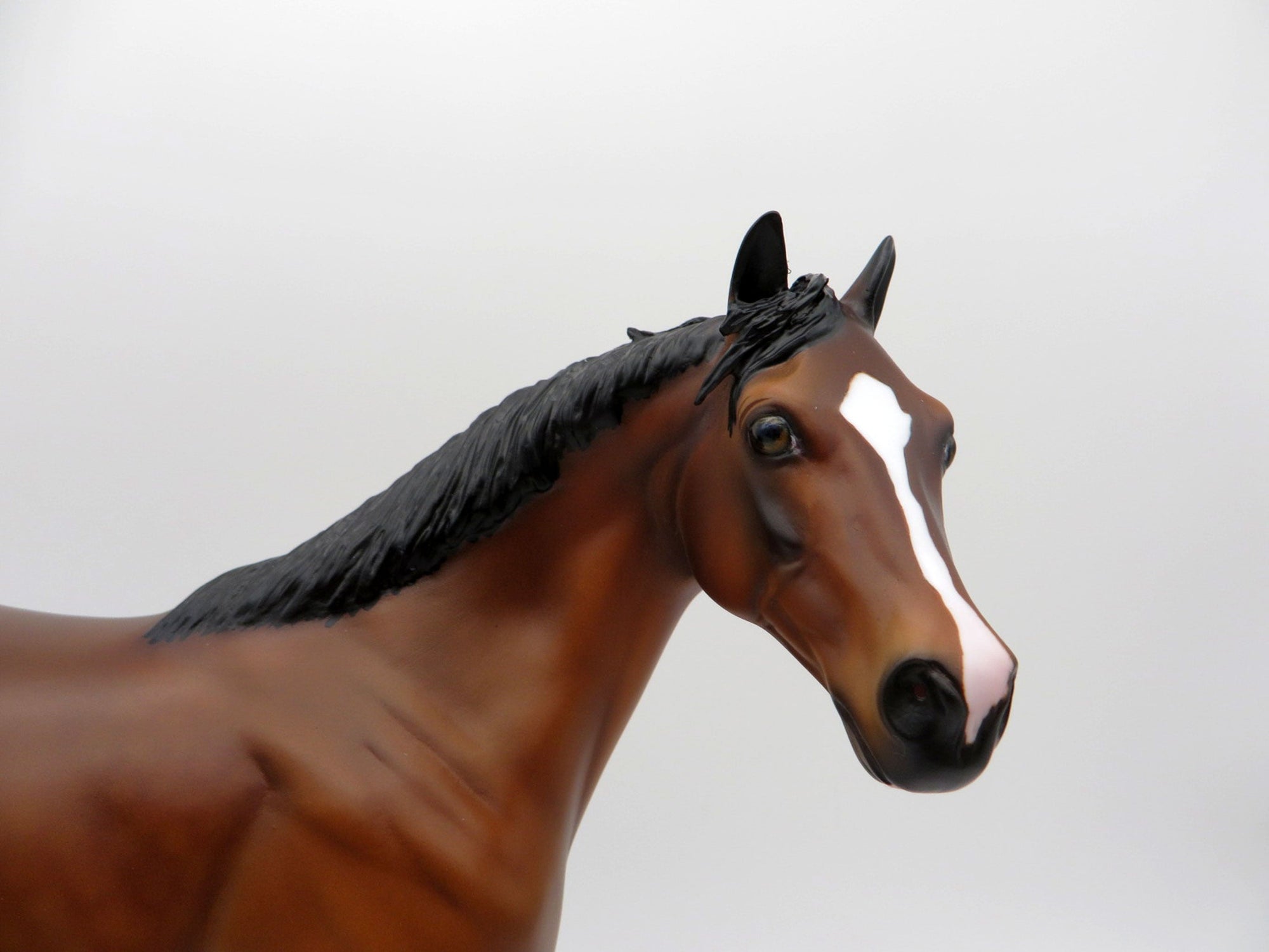 Kahlo- OOAK Dapple Bay ISH  Equilocity 2021 Painted by Audrey Dixon