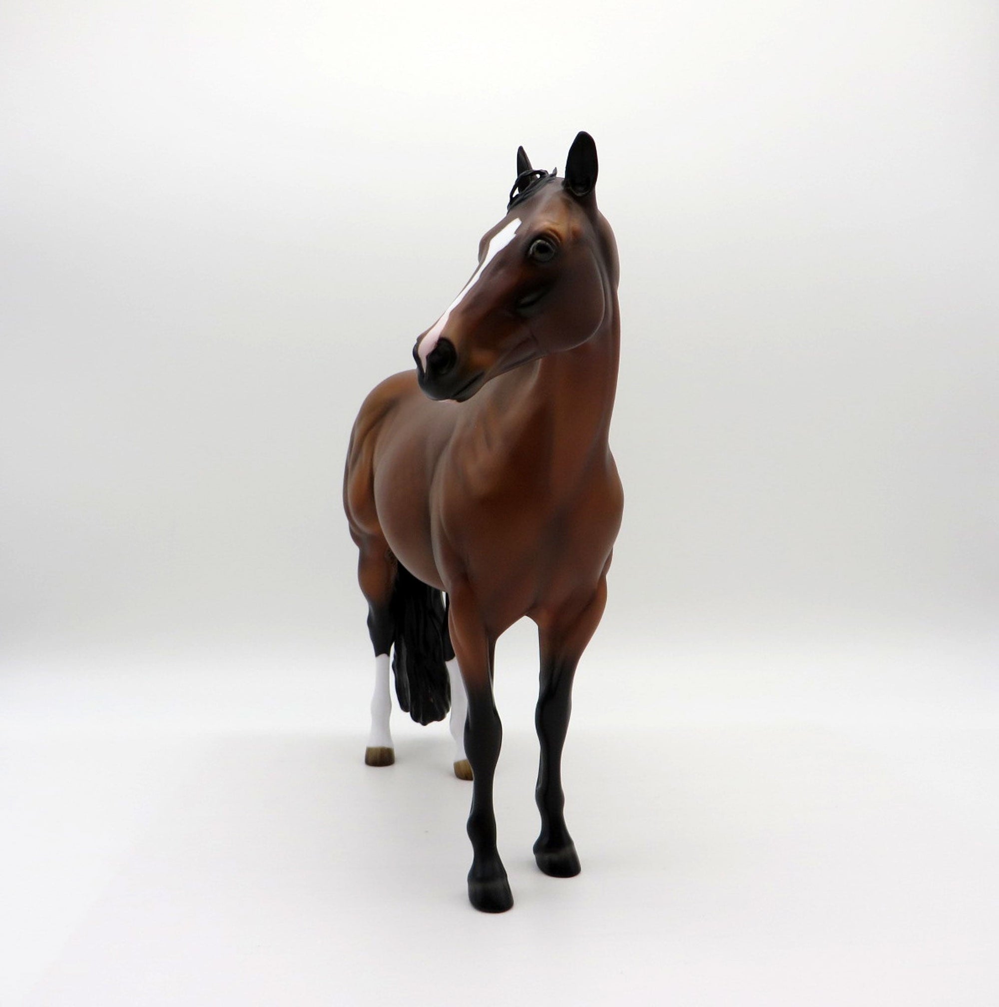 Kahlo- OOAK Dapple Bay ISH  Equilocity 2021 Painted by Audrey Dixon