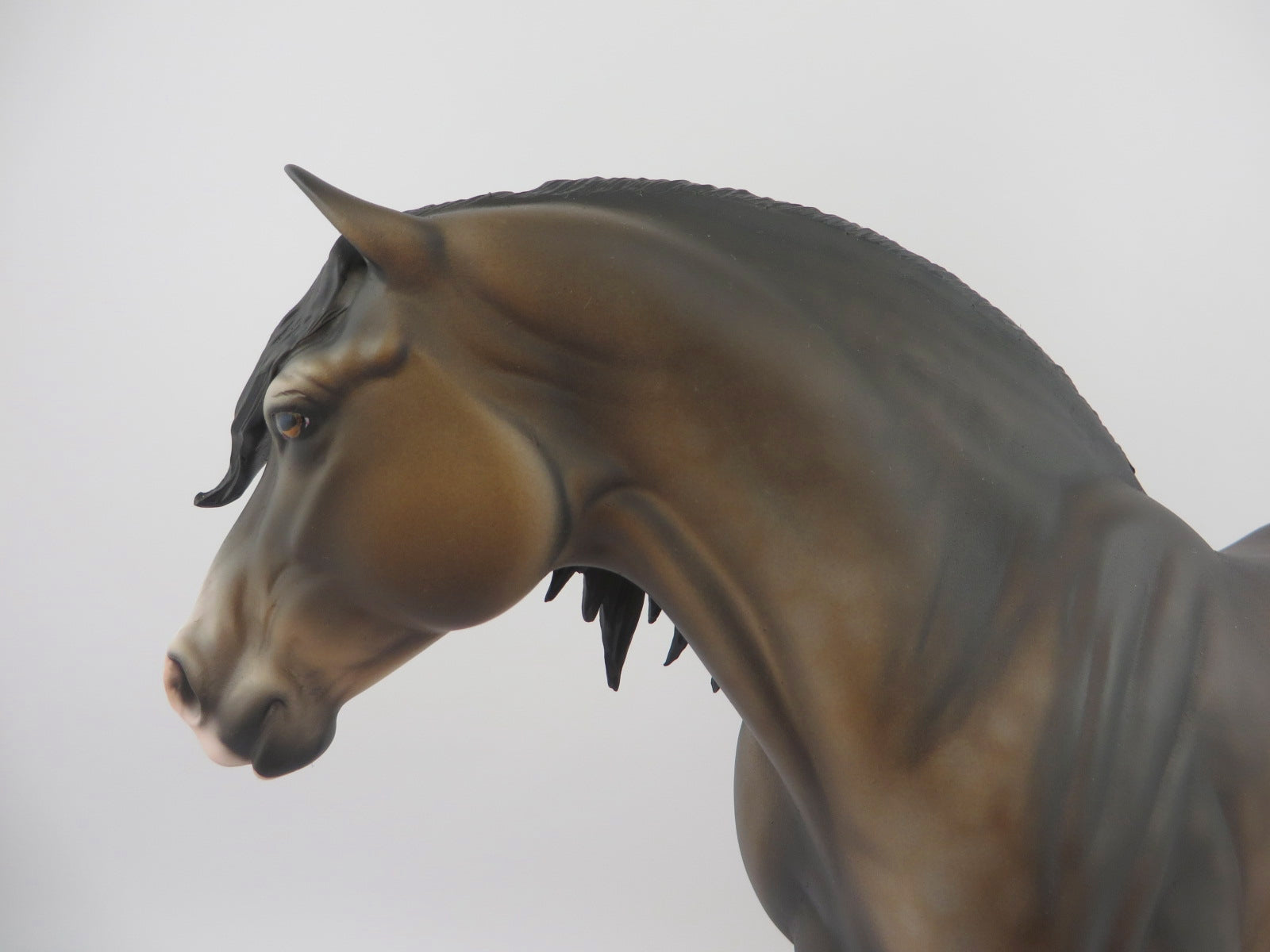 Kahlo-OOAK Dapple Bay Heavy Draft By Dawn Quick