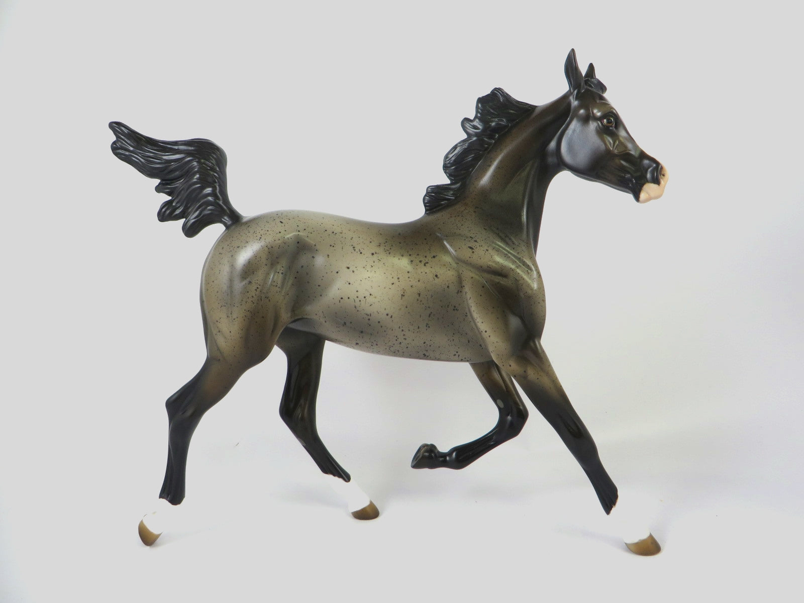 KAI-OOAK BAY ROAN YEARLING BY MELISSA FOX WHS19