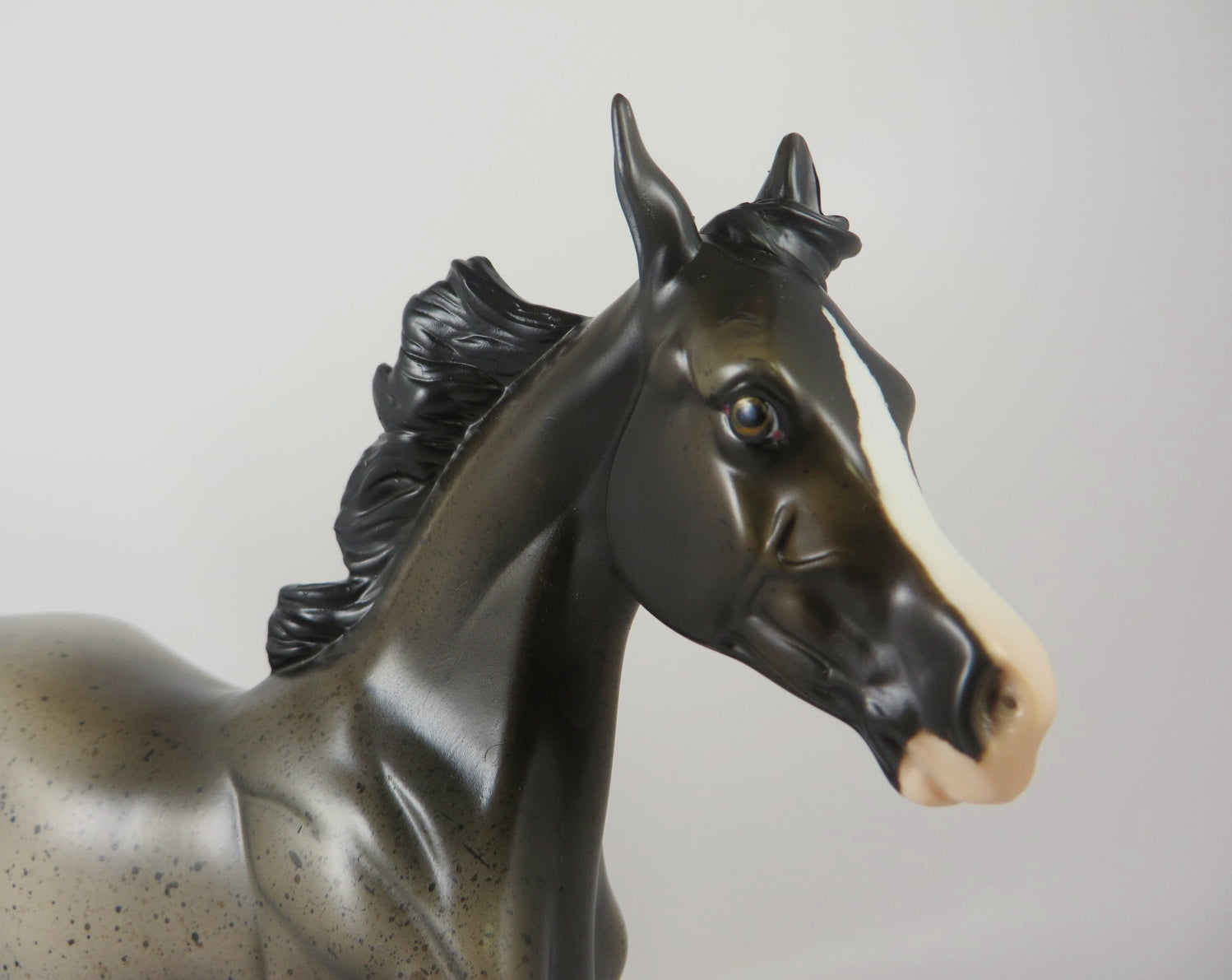 KAI-OOAK BAY ROAN YEARLING BY MELISSA FOX WHS19