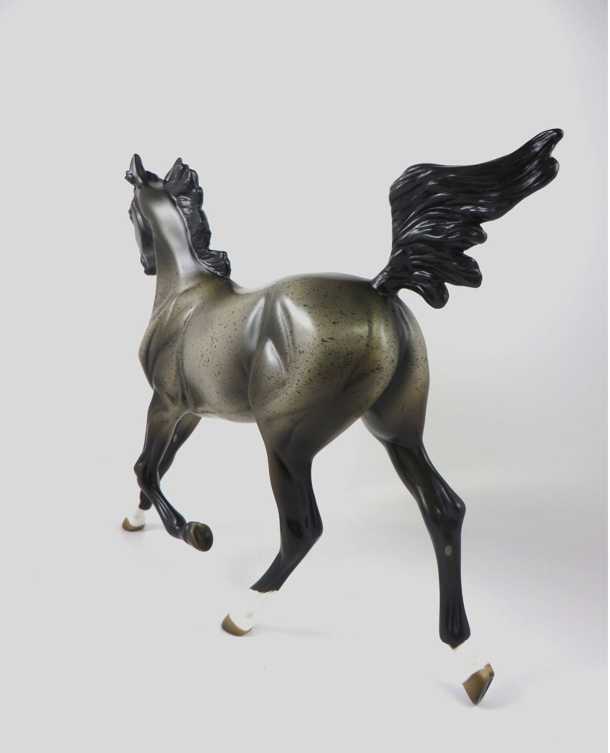 KAI-OOAK BAY ROAN YEARLING BY MELISSA FOX WHS19