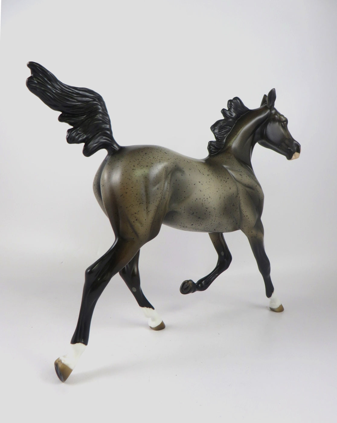 KAI-OOAK BAY ROAN YEARLING BY MELISSA FOX WHS19