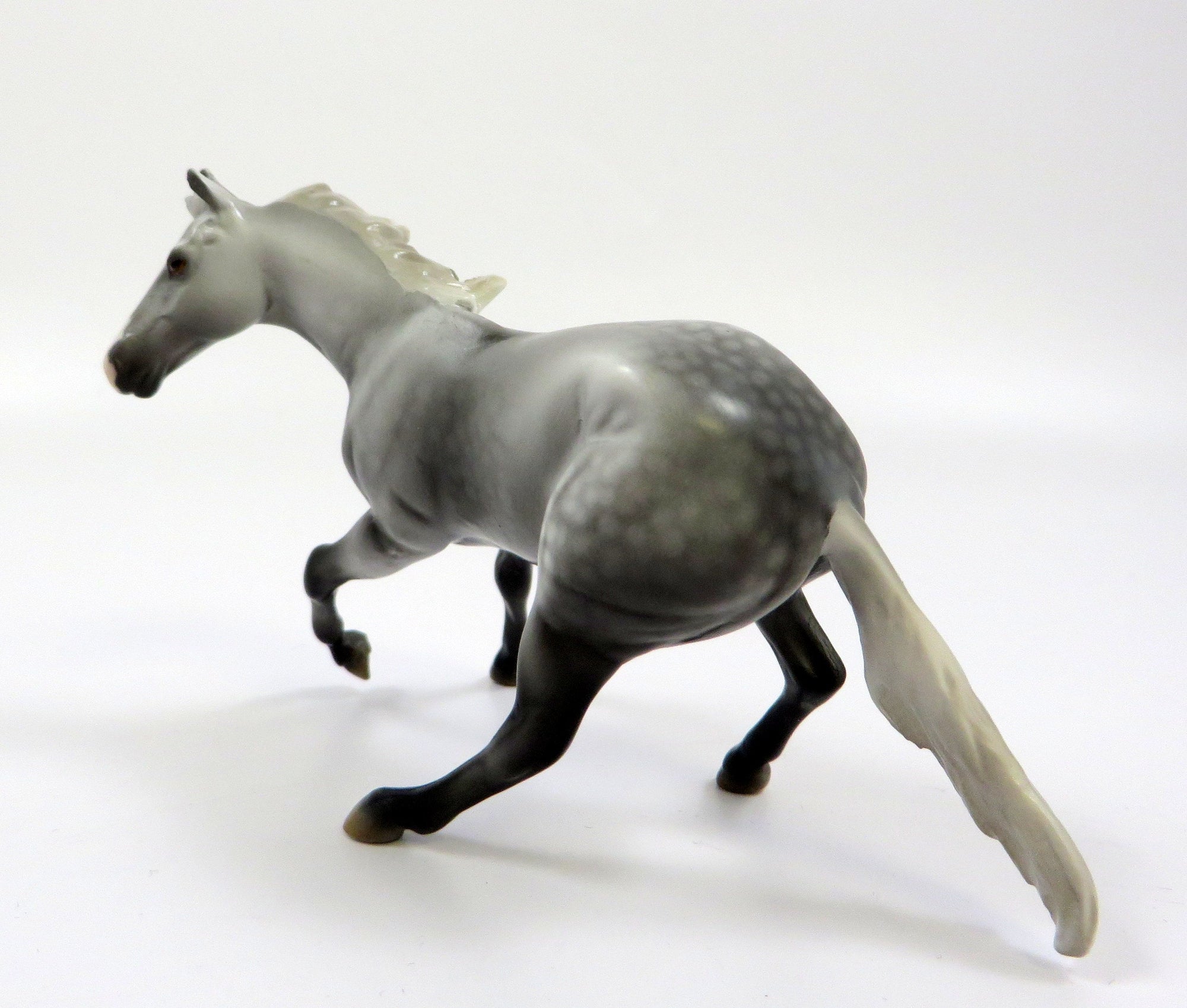 KAISER  -- OOAK -- CUTTER CHIP DAPPLE GREY BY MISSY FOX EQ19