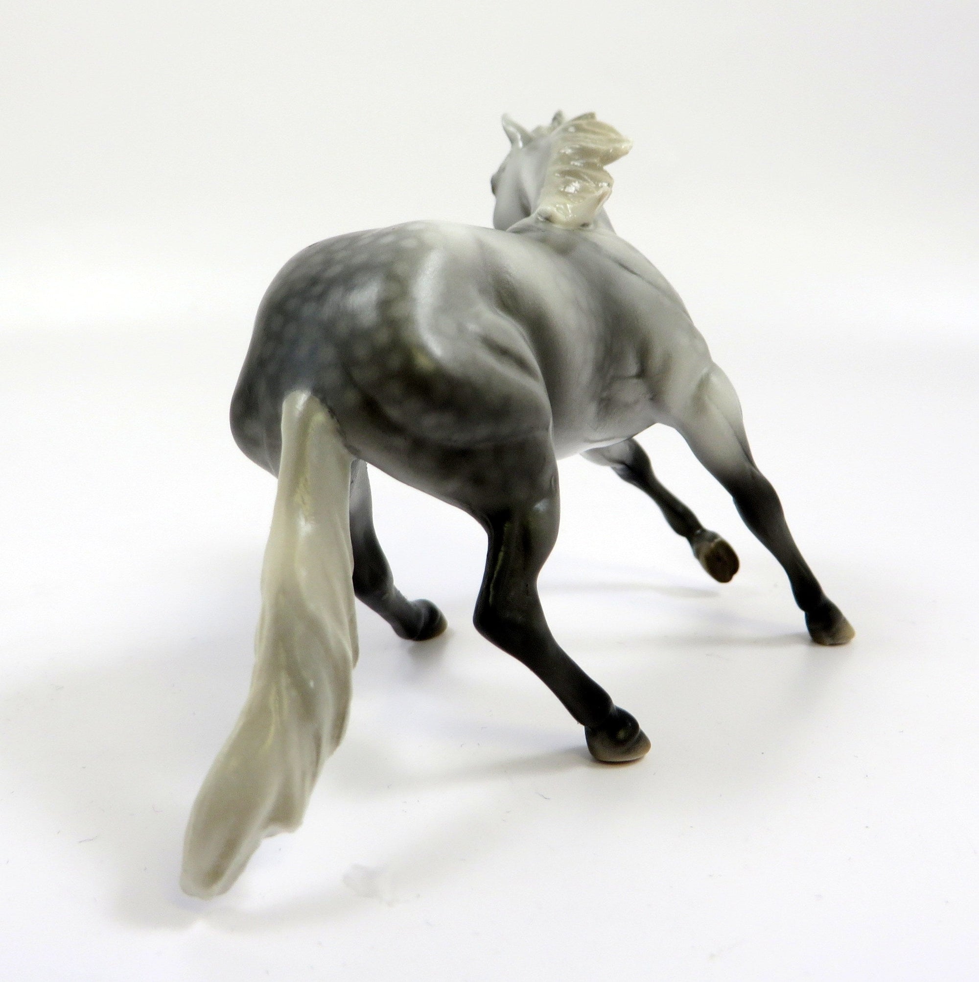 KAISER  -- OOAK -- CUTTER CHIP DAPPLE GREY BY MISSY FOX EQ19