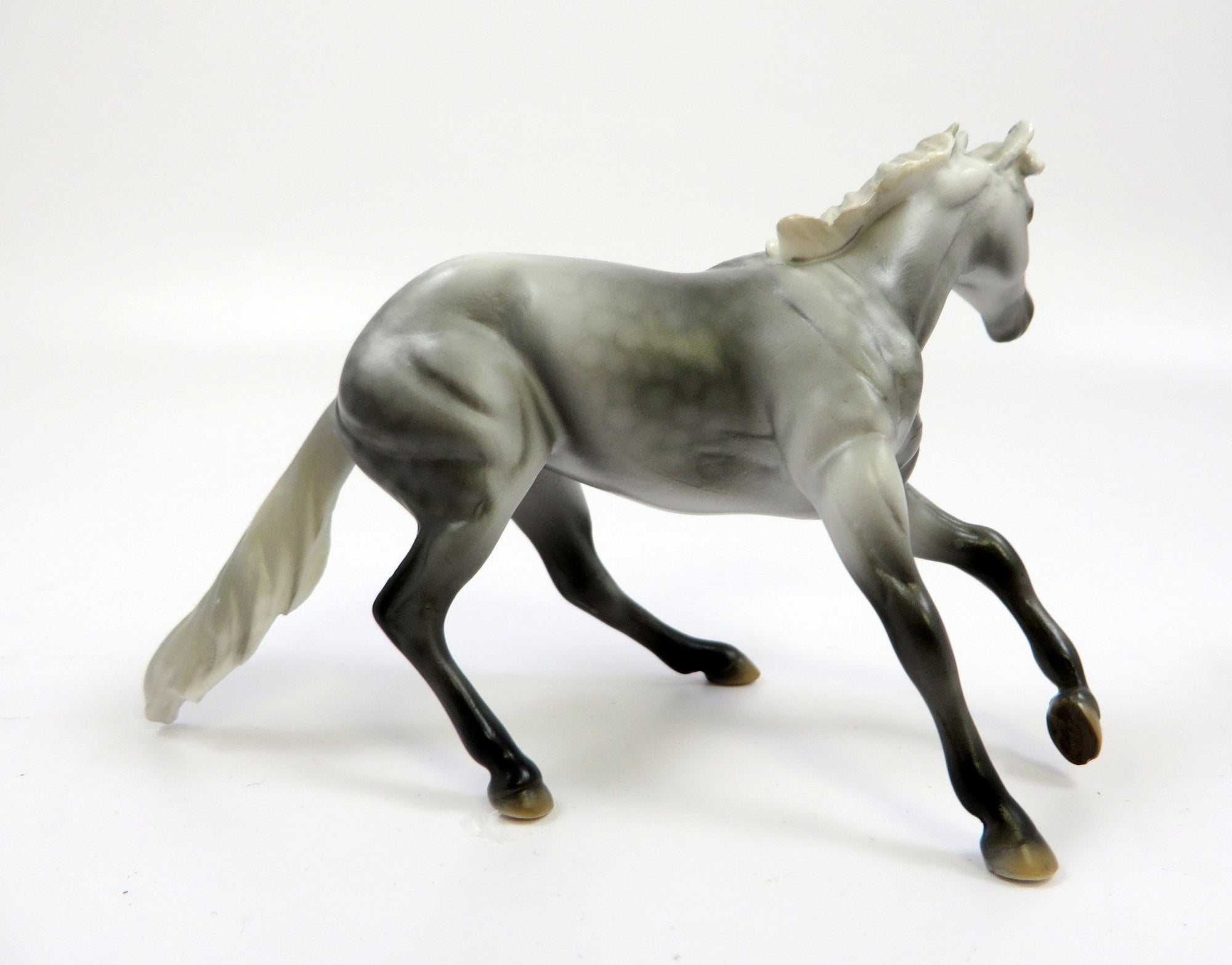 KAISER  -- OOAK -- CUTTER CHIP DAPPLE GREY BY MISSY FOX EQ19