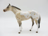 KAYAK - OOAK -BUCKSKIN APPALOOSA STOCK CHIP - BY JESS HAMILL  LHS 22