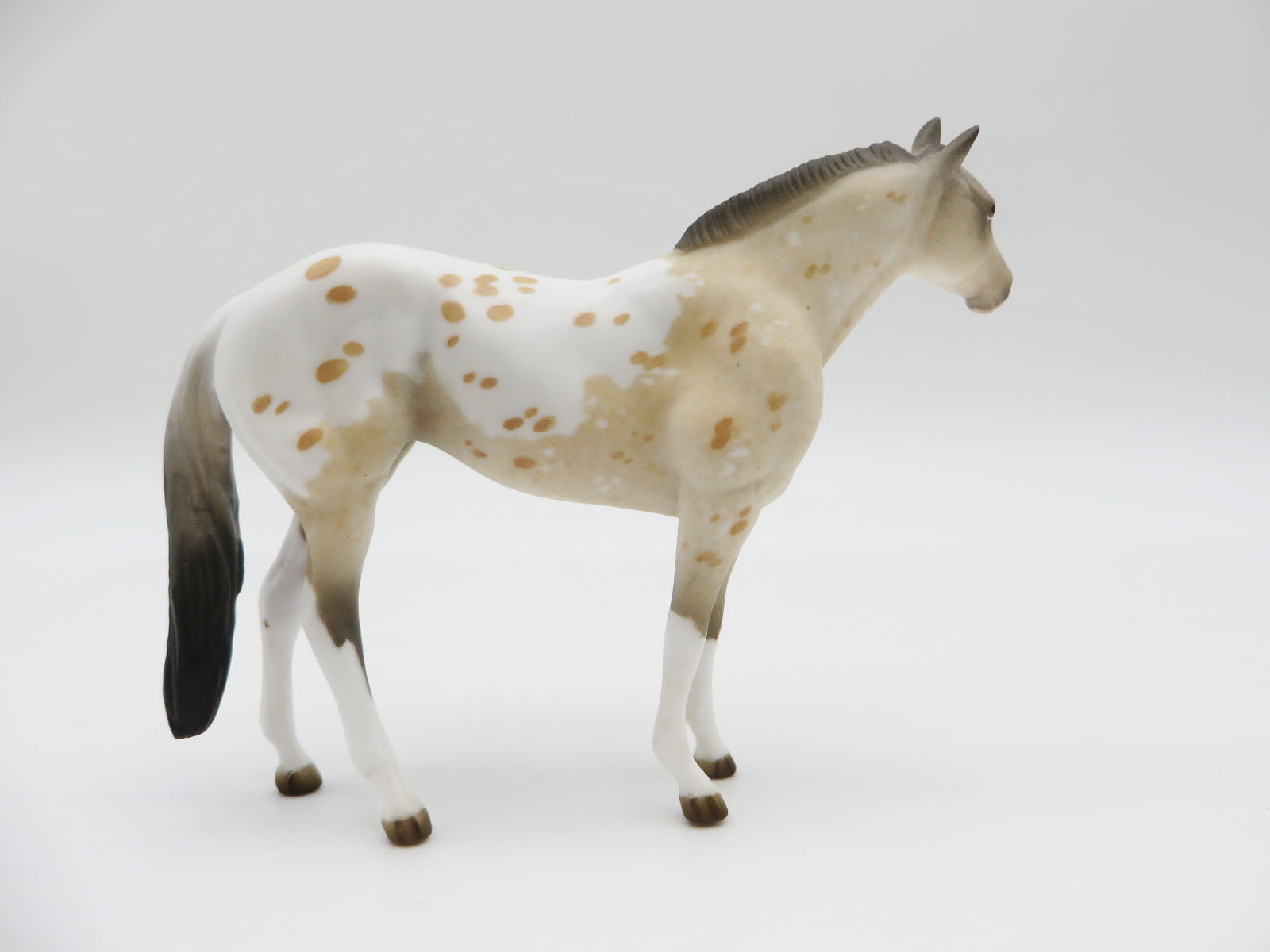 KAYAK - OOAK -BUCKSKIN APPALOOSA STOCK CHIP - BY JESS HAMILL  LHS 22