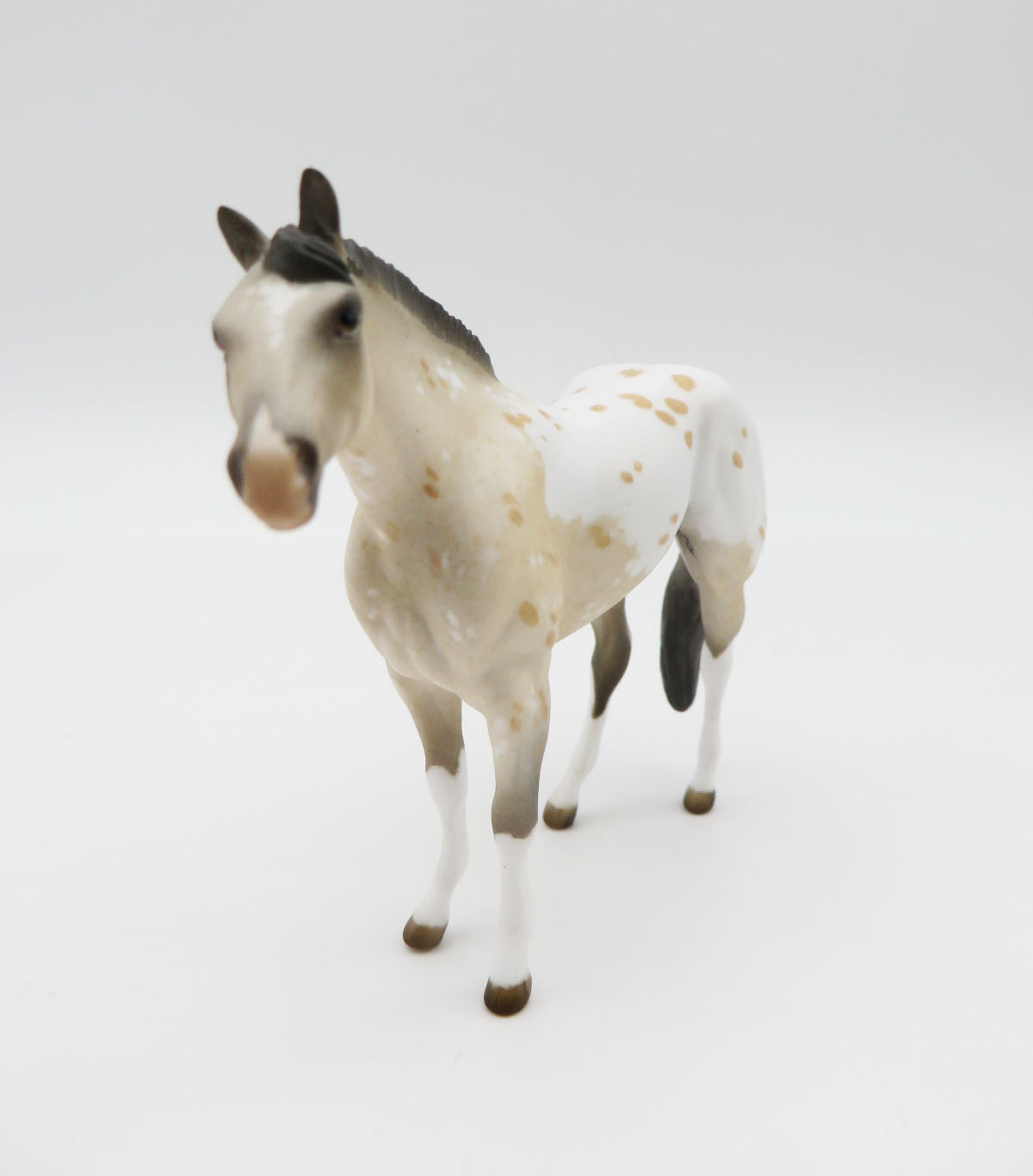 KAYAK - OOAK -BUCKSKIN APPALOOSA STOCK CHIP - BY JESS HAMILL  LHS 22