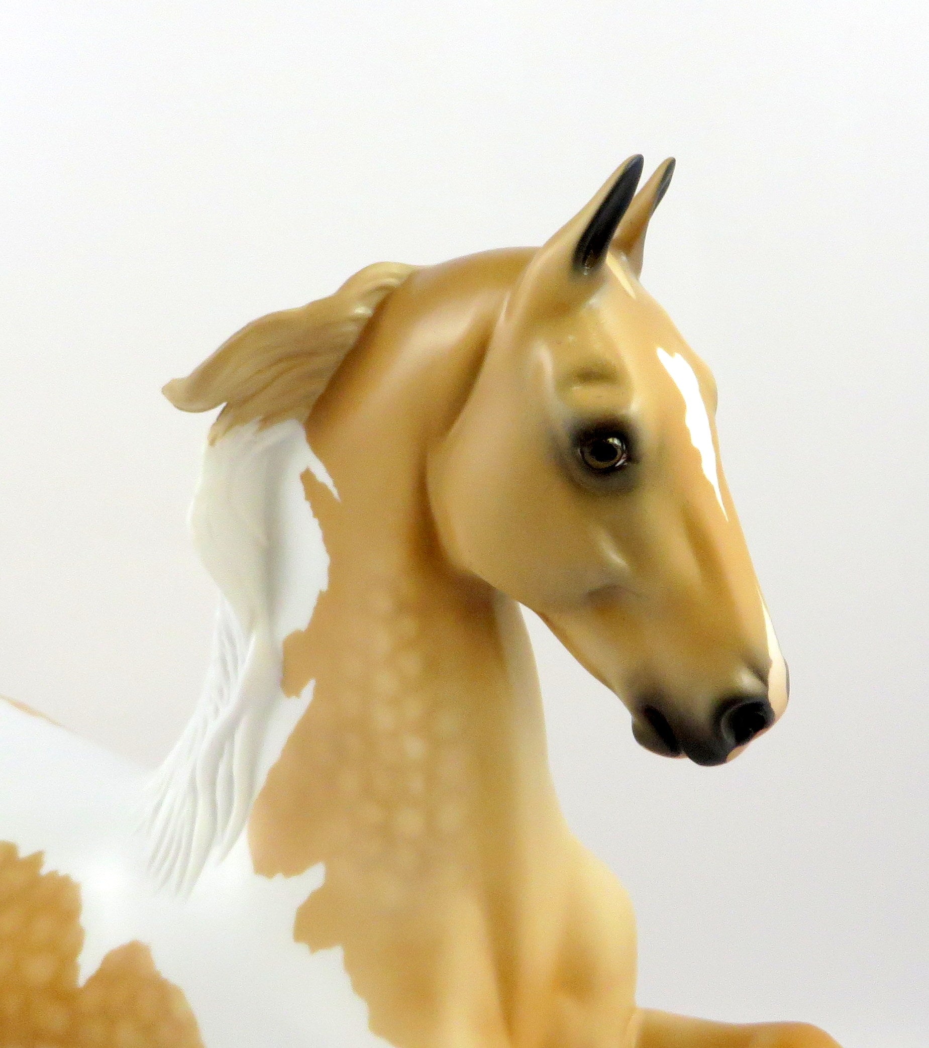 KAZIMIR-OOAK DAPPLE PALOMINO TOBIANO SADDLEBRED MODEL HORSE EQ 19