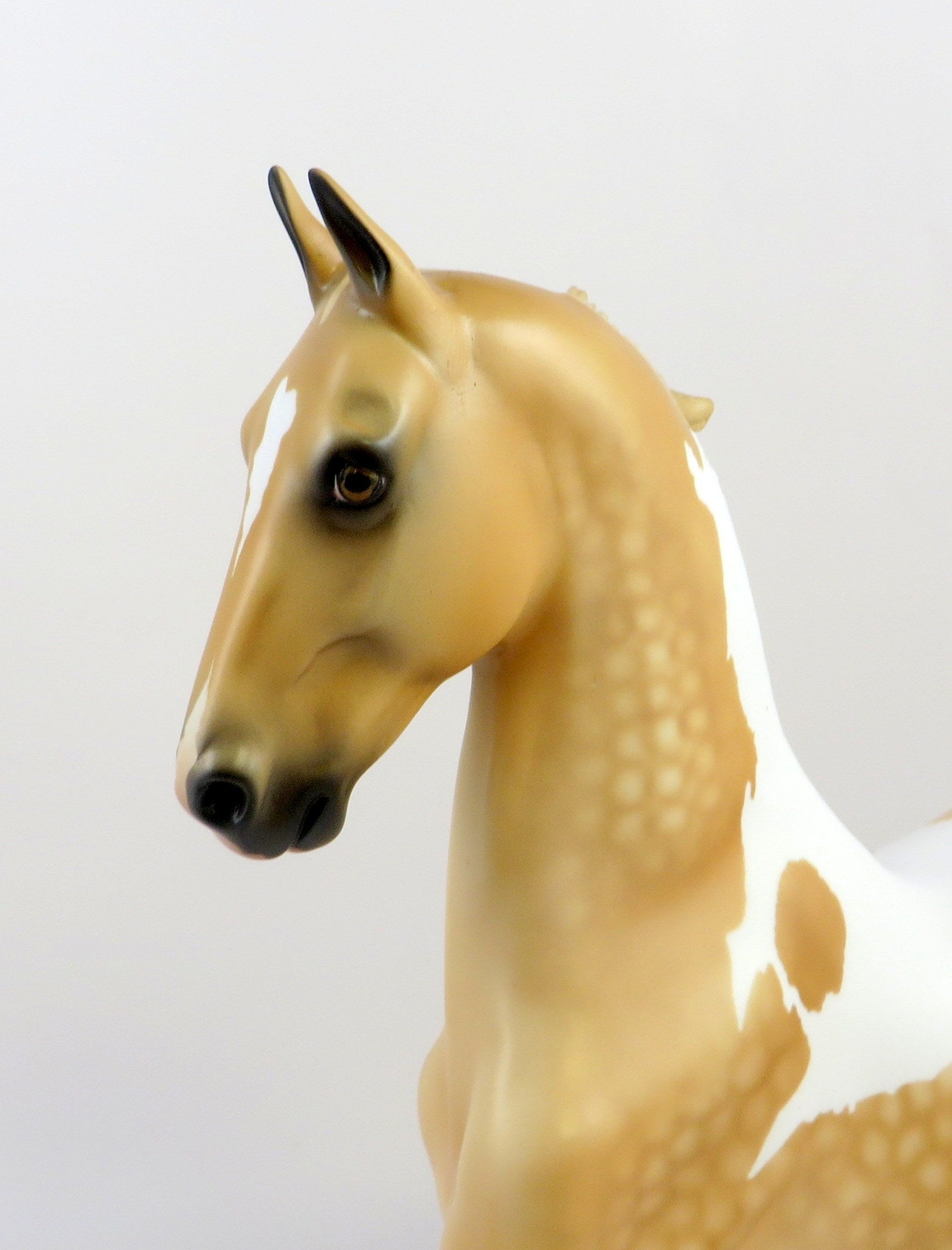 KAZIMIR-OOAK DAPPLE PALOMINO TOBIANO SADDLEBRED MODEL HORSE EQ 19