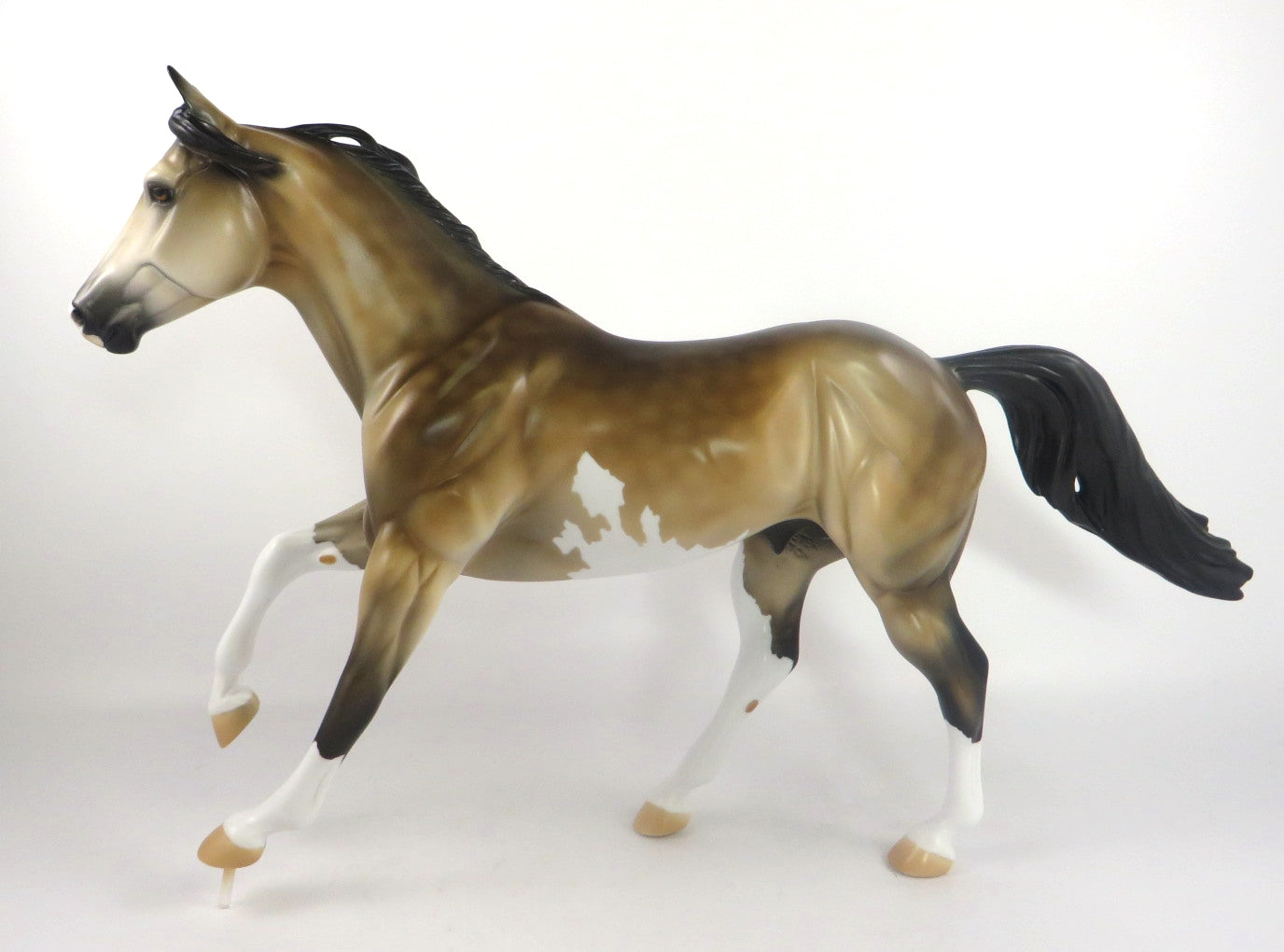 KC-DAPPLE SOOTY BUCKSKIN FOUNDATION RUNNING QUARTER HORSE SB 20