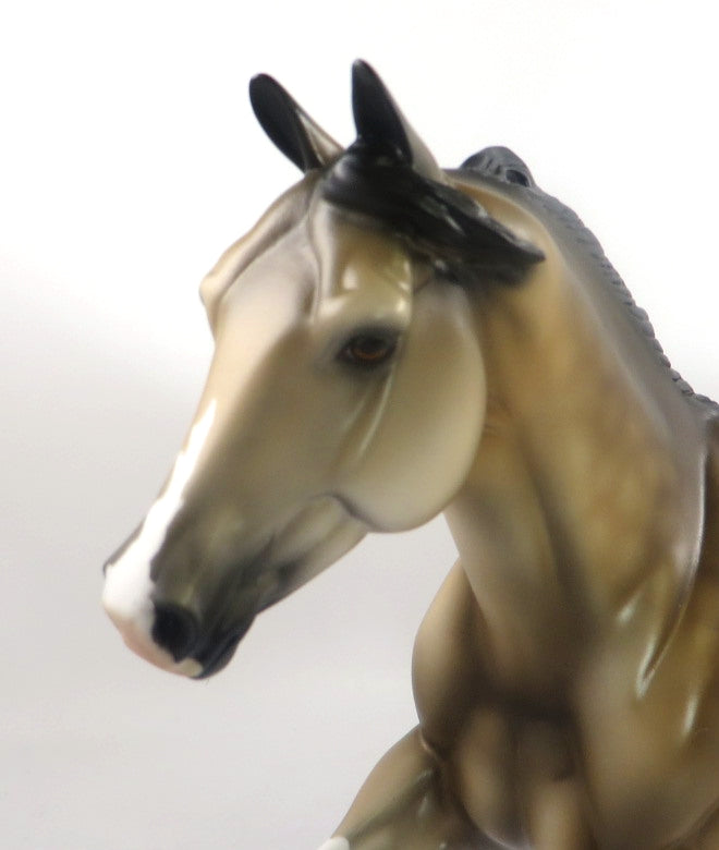 KC-DAPPLE SOOTY BUCKSKIN FOUNDATION RUNNING QUARTER HORSE SB 20