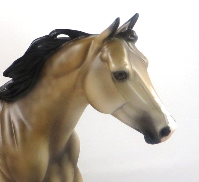 KC-DAPPLE SOOTY BUCKSKIN FOUNDATION RUNNING QUARTER HORSE SB 20