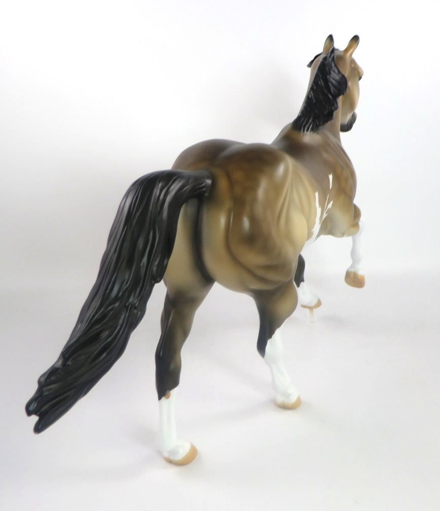 KC-DAPPLE SOOTY BUCKSKIN FOUNDATION RUNNING QUARTER HORSE SB 20