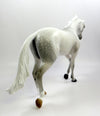 KENOBI-OOAK DAPPLE GREY THOROUGHBRED MODEL HORSE EQ19