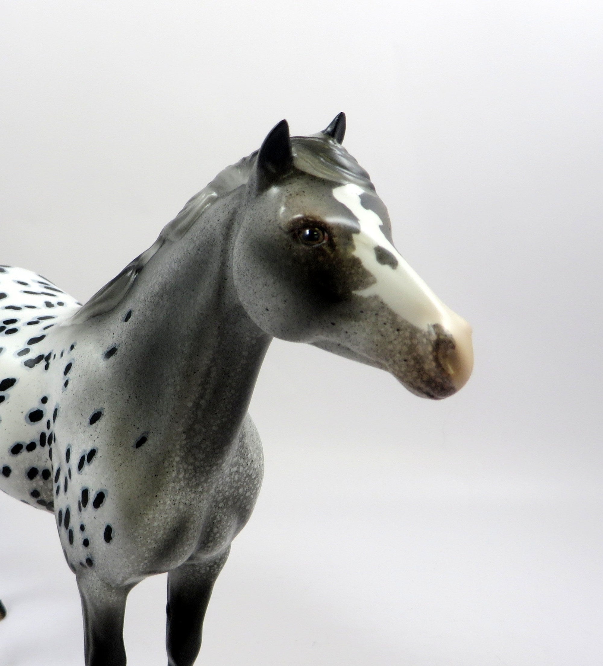KING OF SPOTS-OOAK LOUD APPALOOSA MUSTANG MODEL HORSE EQ 19