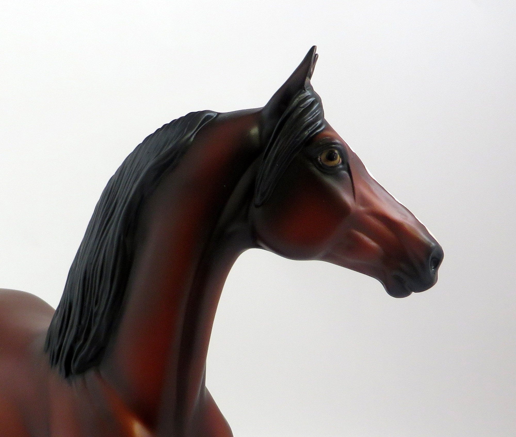 KINGRIC-OOAK BAY MORGAN MODEL HORSE EQ 2019