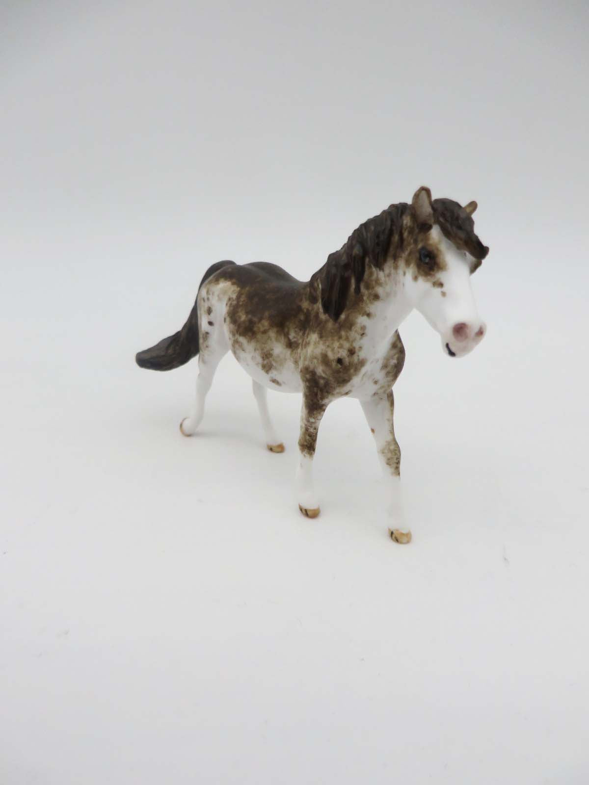 Kirah - OOAK Chip Pony By Andrea Thomason 2/14/23
