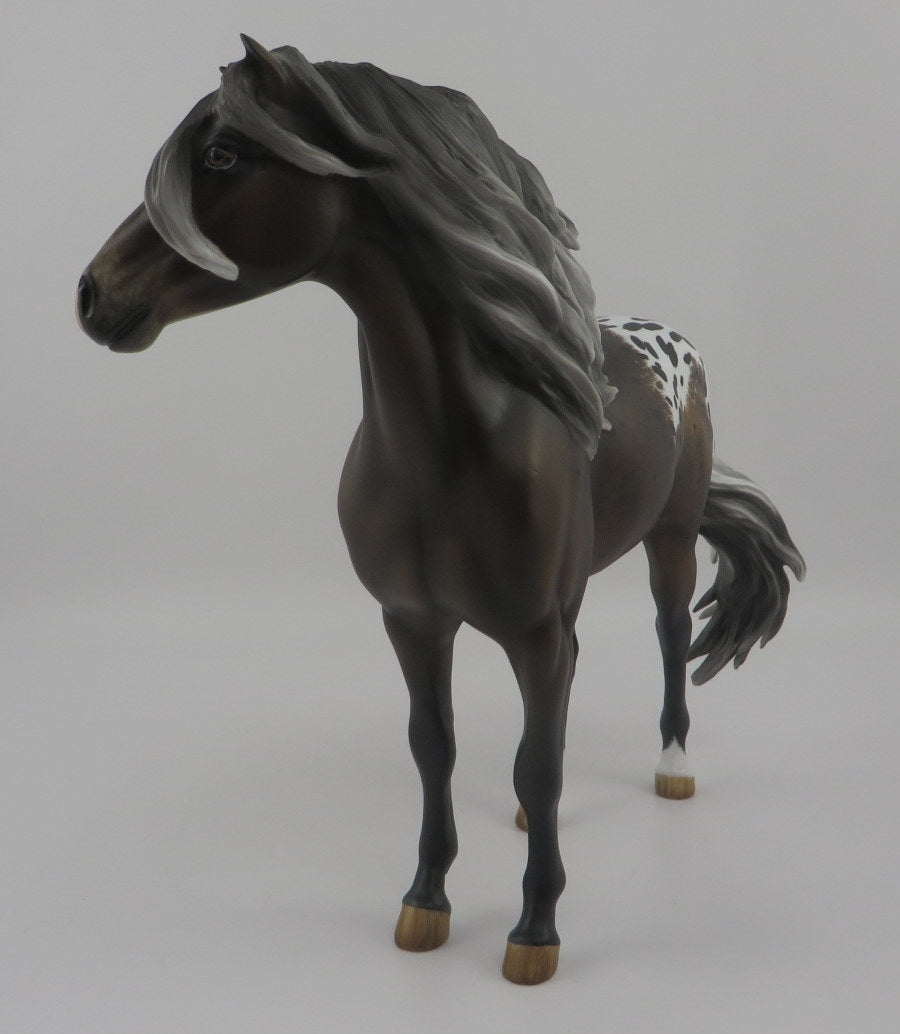 Kiss-OOAK Appaloosa Mustang EQ 2020