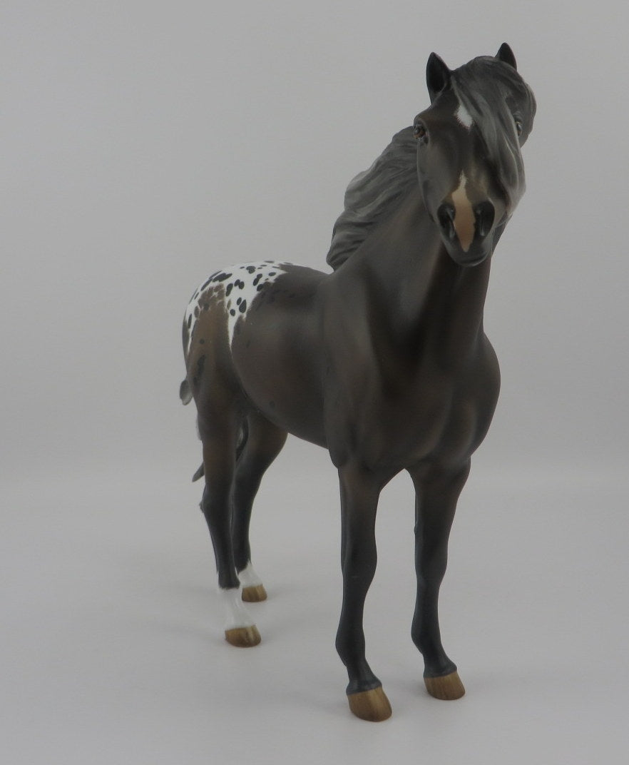 Kiss-OOAK Appaloosa Mustang EQ 2020
