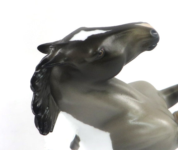 KISSES BY ROMEO-OOAK GRULLA PINTO REARING PEBBLES MODEL HORSE BY AUDREY DIXON 2/17/20