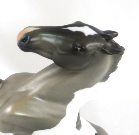 KISSES BY ROMEO-OOAK GRULLA PINTO REARING PEBBLES MODEL HORSE BY AUDREY DIXON 2/17/20
