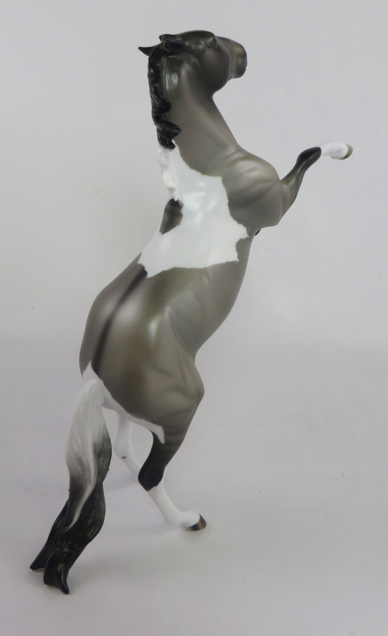 KISSES BY ROMEO-OOAK GRULLA PINTO REARING PEBBLES MODEL HORSE BY AUDREY DIXON 2/17/20