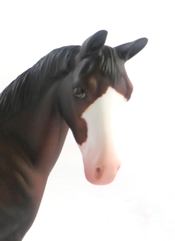 KIT KAT-OOAK BAY ROAN WEANLING MODEL HORSE 12/17/19