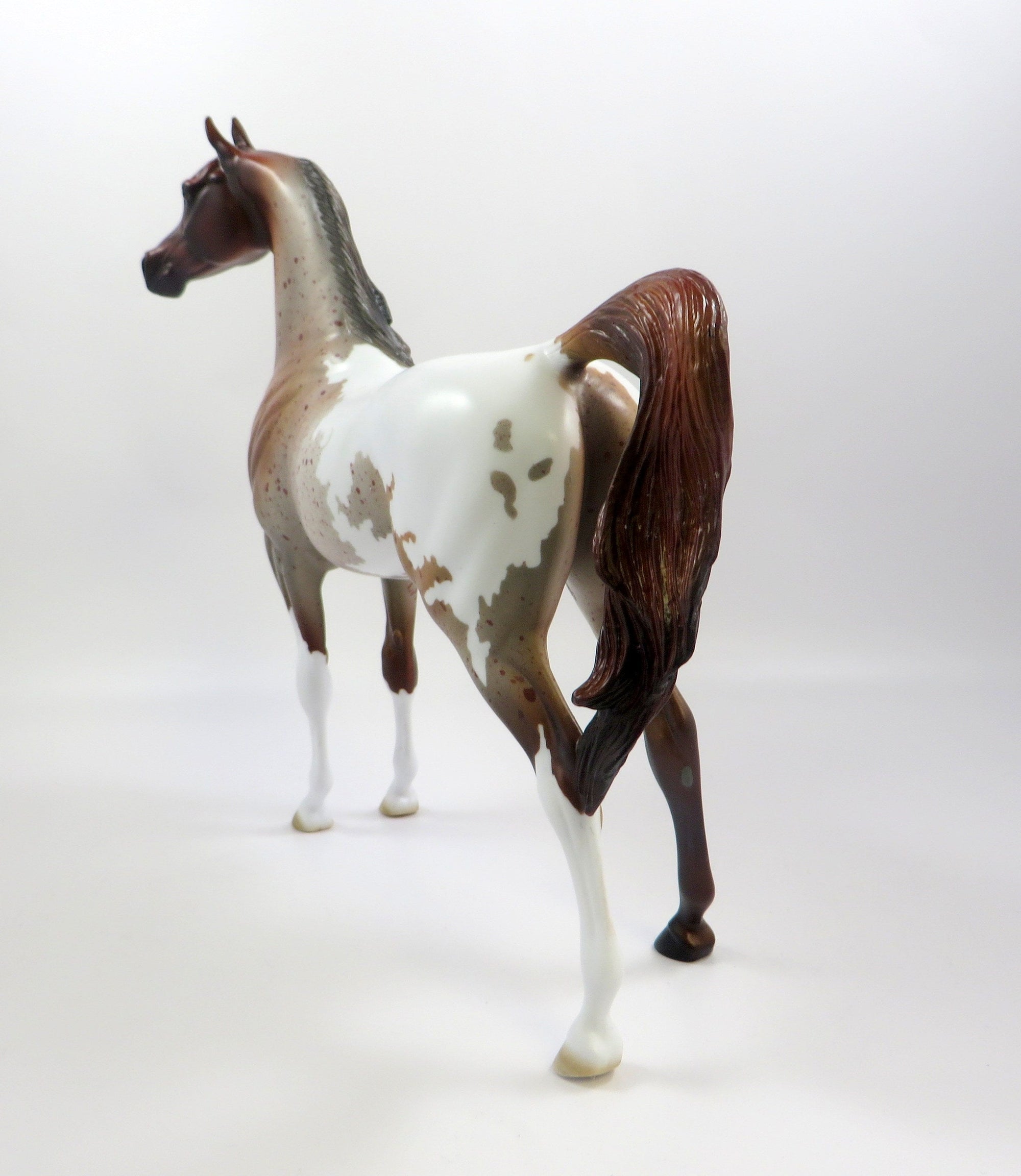 KNIGHT -OOAK CHESTNUT PINTALOOSA ARABIAN MODEL EQ 2019