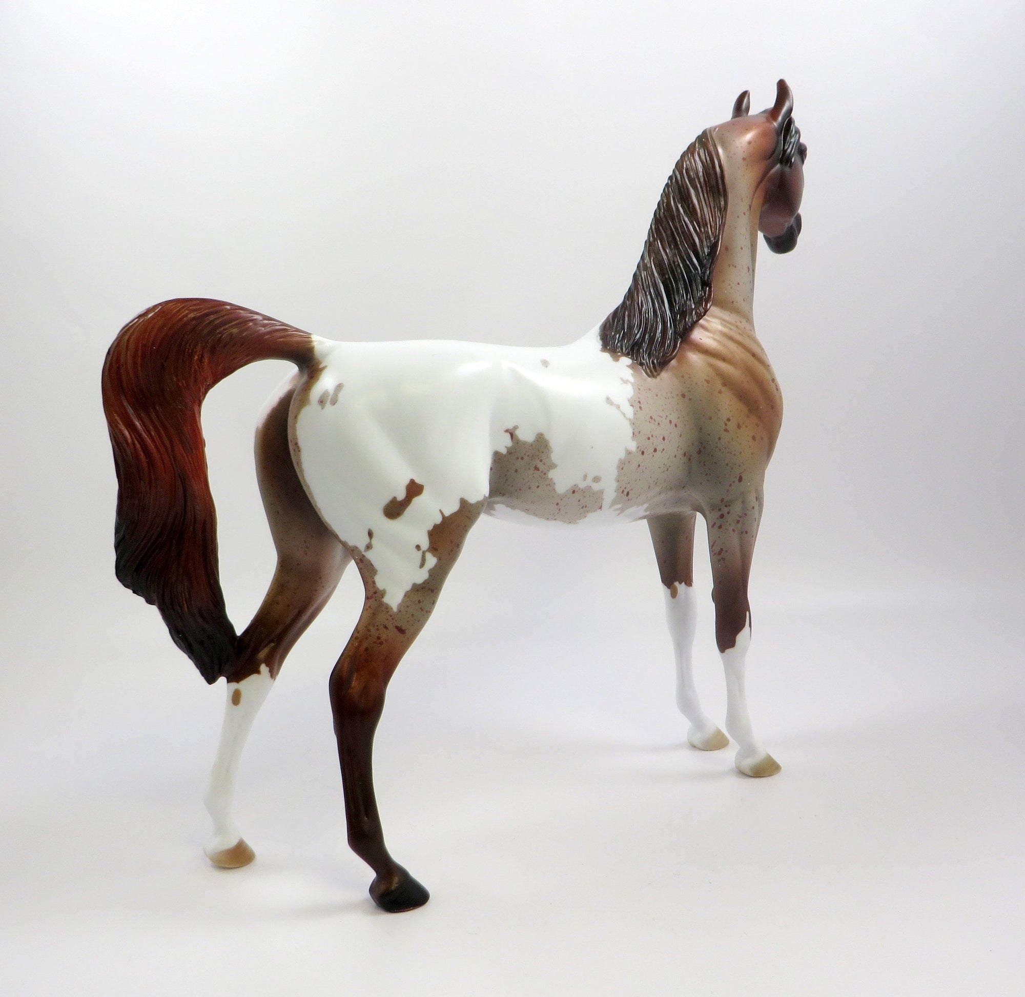 KNIGHT -OOAK CHESTNUT PINTALOOSA ARABIAN MODEL EQ 2019