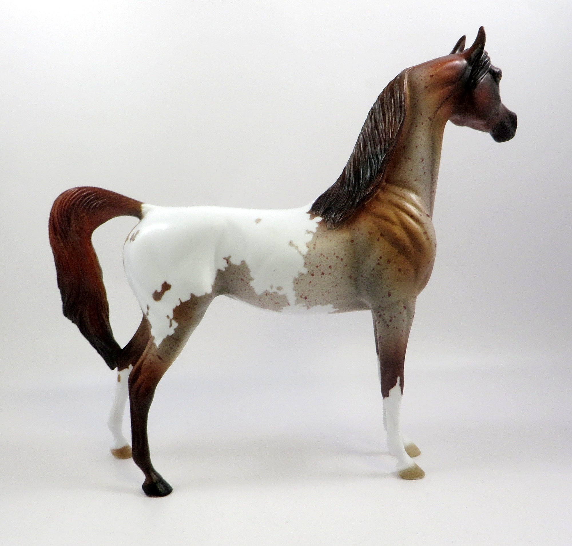 KNIGHT -OOAK CHESTNUT PINTALOOSA ARABIAN MODEL EQ 2019