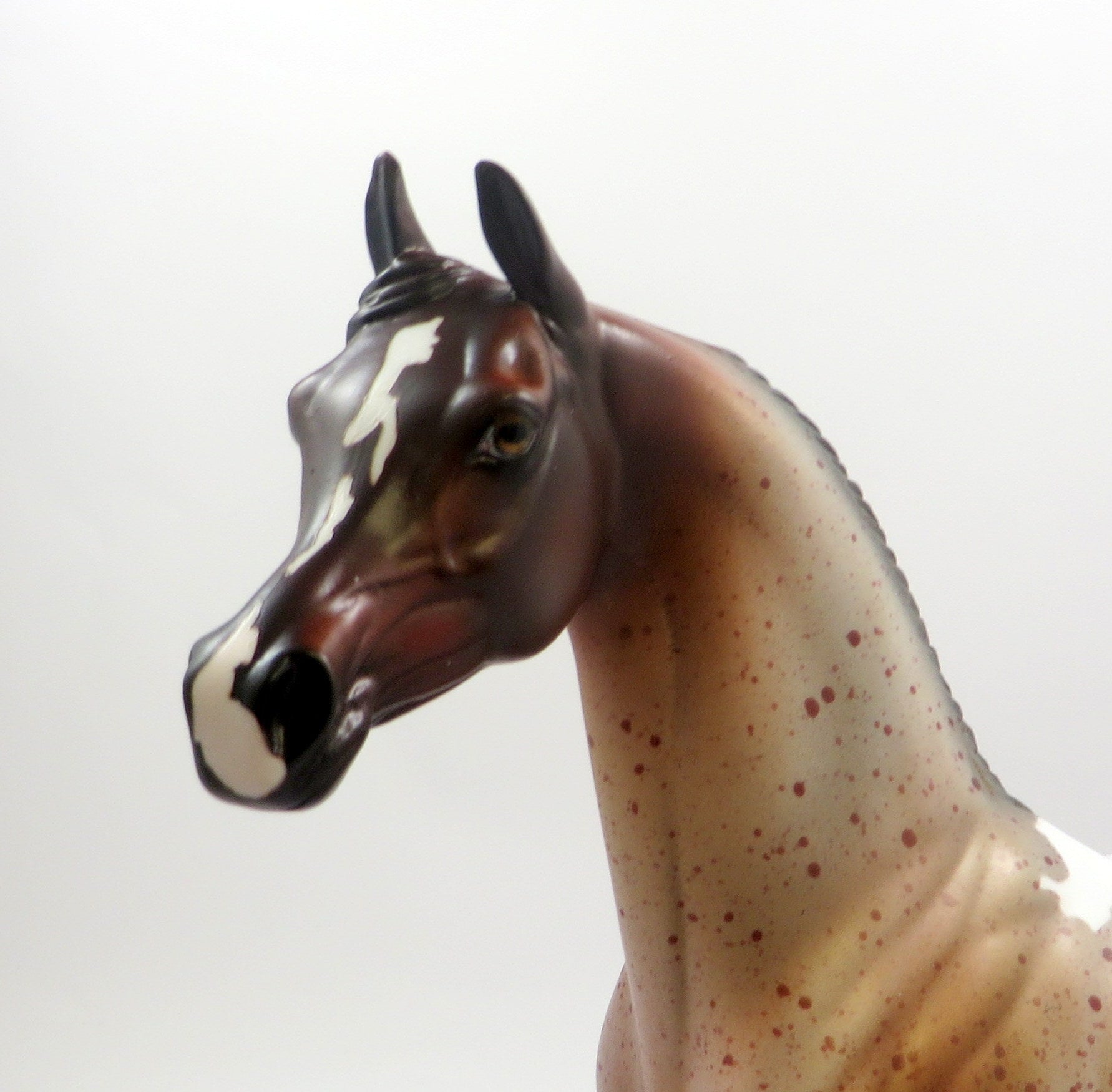 KNIGHT -OOAK CHESTNUT PINTALOOSA ARABIAN MODEL EQ 2019