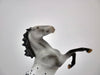KNIGHTS ARMOR-OOAK ROAN APPY  REARING PEBBLES BY AUDREY DIXON EQ 2020