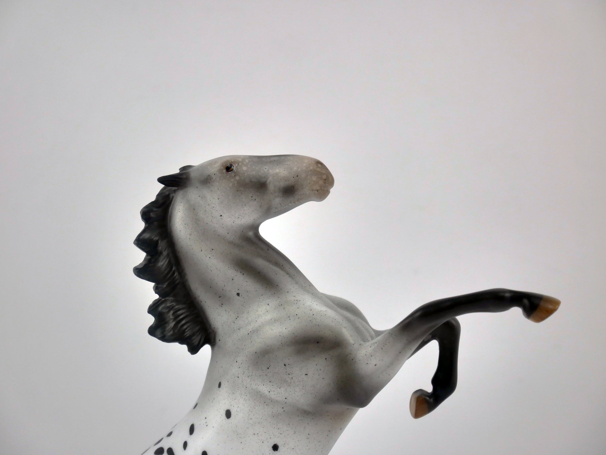 KNIGHTS ARMOR-OOAK ROAN APPY  REARING PEBBLES BY AUDREY DIXON EQ 2020