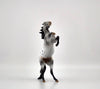 KNIGHTS ARMOR-OOAK ROAN APPY  REARING PEBBLES BY AUDREY DIXON EQ 2020