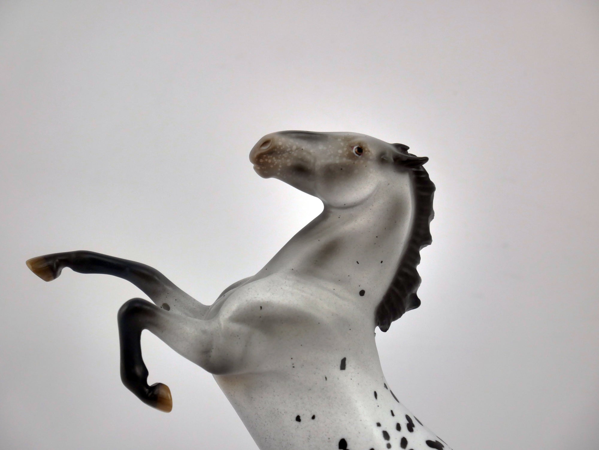 KNIGHTS ARMOR-OOAK ROAN APPY  REARING PEBBLES BY AUDREY DIXON EQ 2020