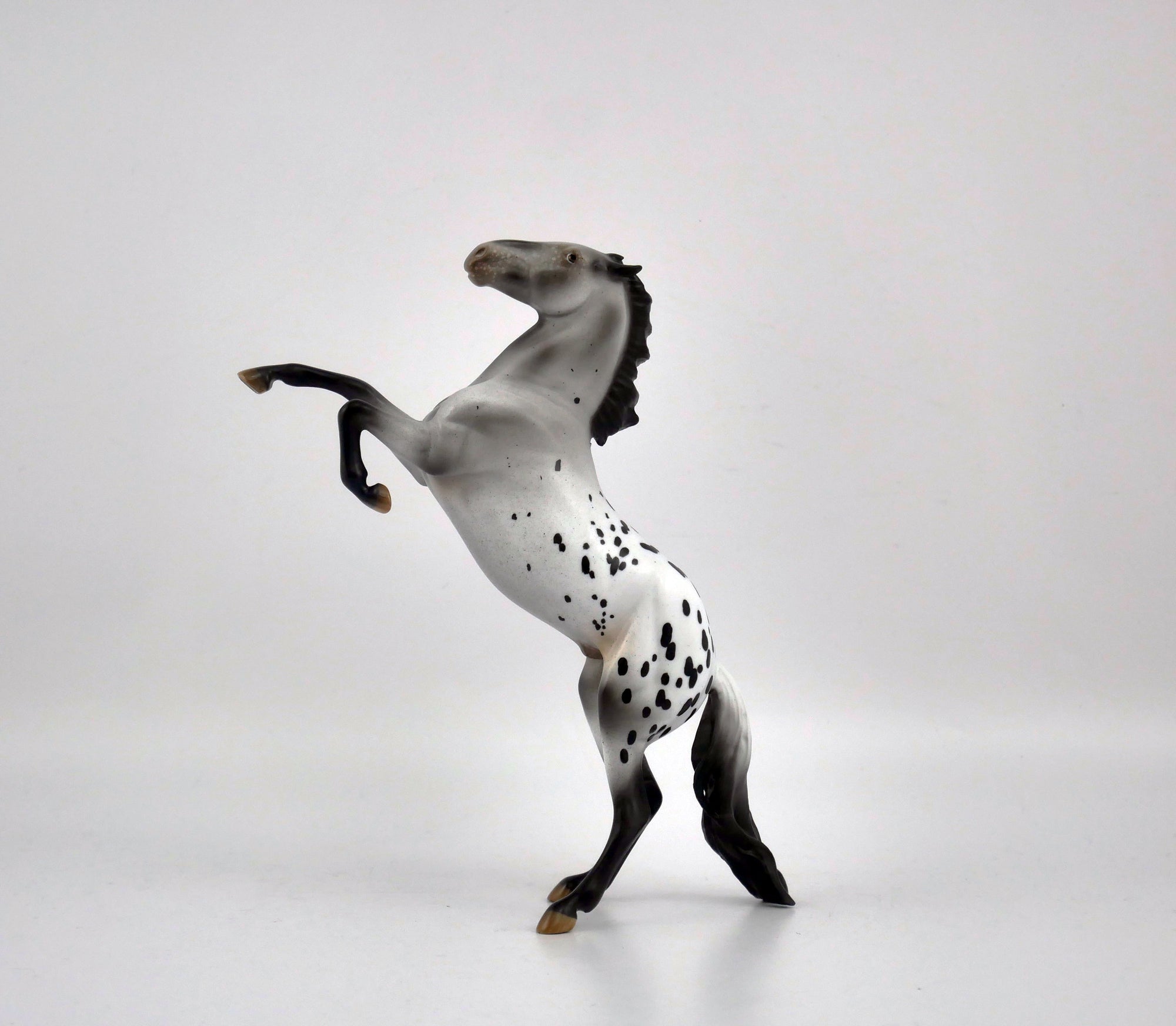 KNIGHTS ARMOR-OOAK ROAN APPY  REARING PEBBLES BY AUDREY DIXON EQ 2020