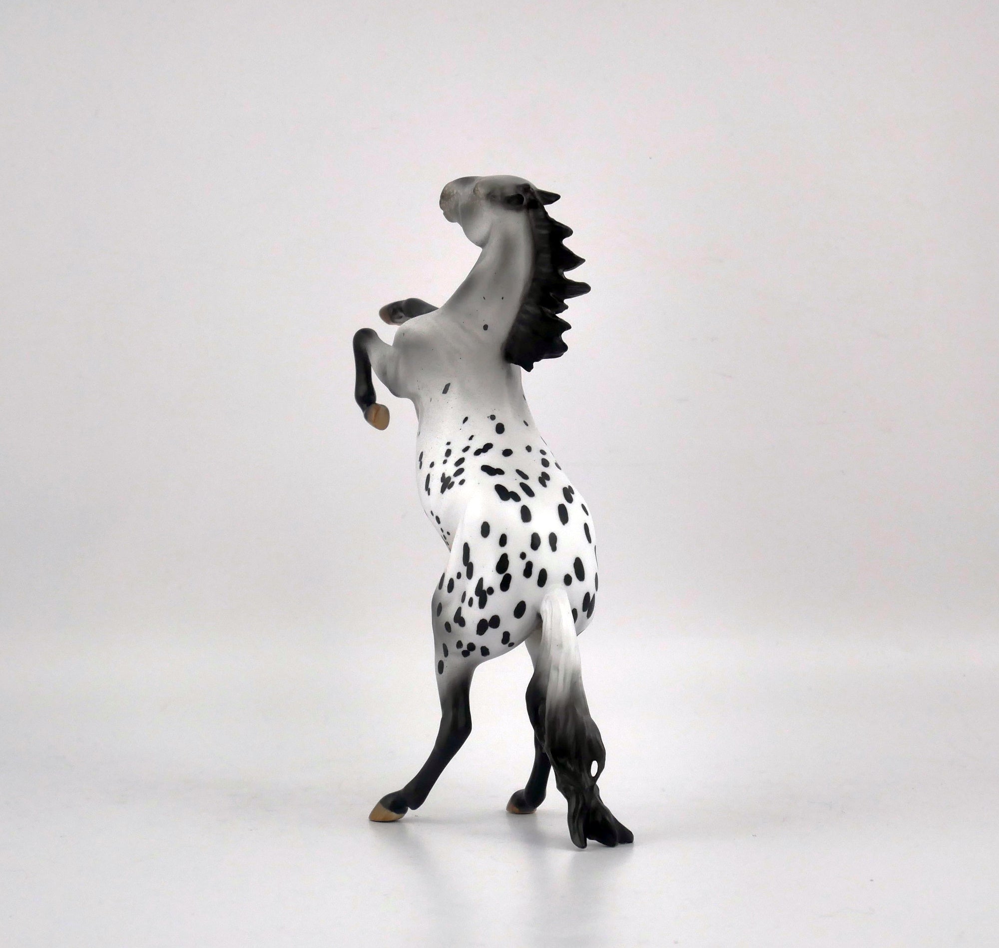 KNIGHTS ARMOR-OOAK ROAN APPY  REARING PEBBLES BY AUDREY DIXON EQ 2020