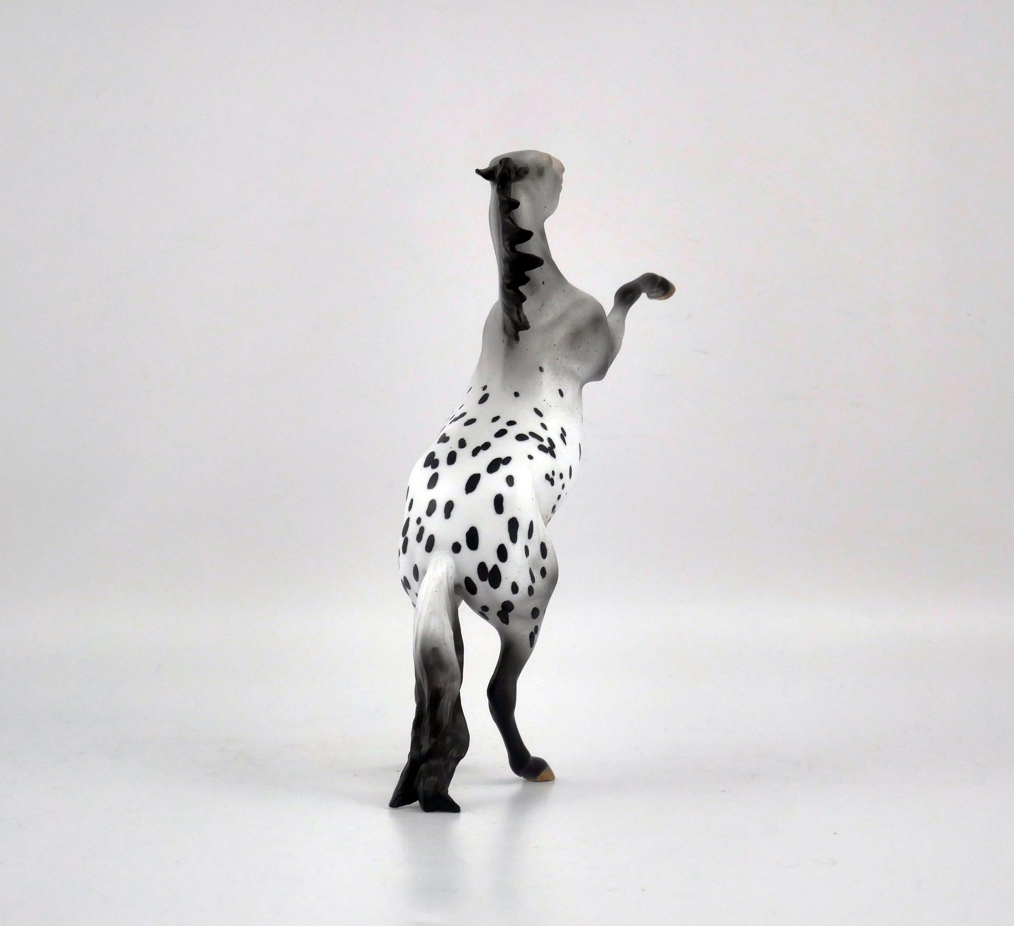 KNIGHTS ARMOR-OOAK ROAN APPY  REARING PEBBLES BY AUDREY DIXON EQ 2020