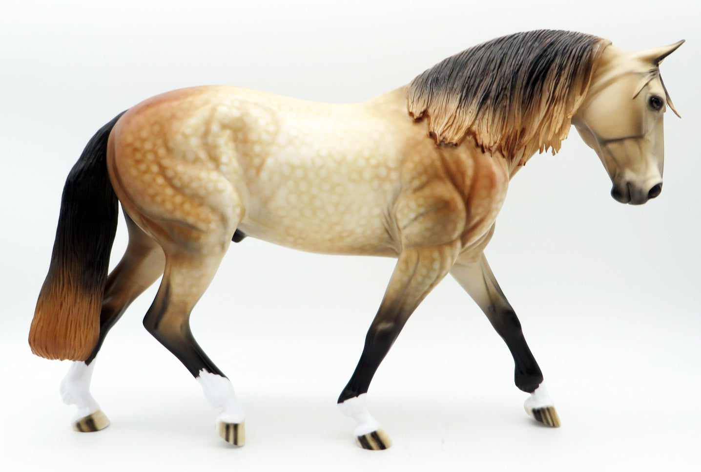 Krueger - OOAK Buckskin Irish Draught by Dawn - MM 2021